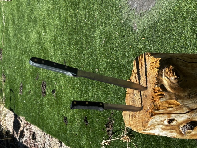 Two handmade knives set upright in a cut tree stump